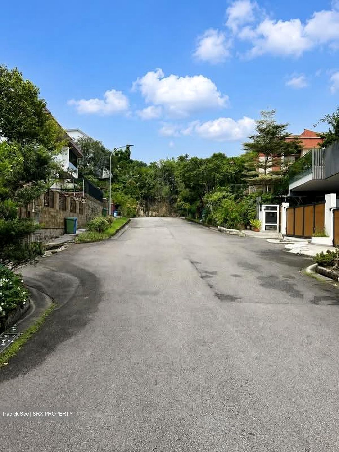 Phoenix Heights (D23), Semi-Detached #593939561